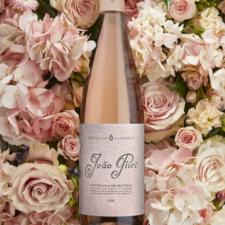 JOÃO PIRES ROSÉ