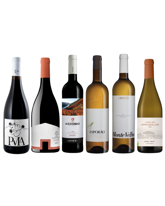 The Portuguese Experience