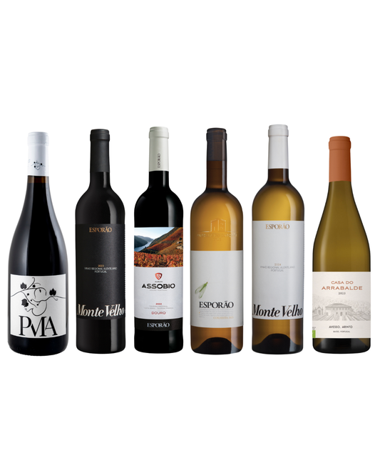 The Portuguese Experience